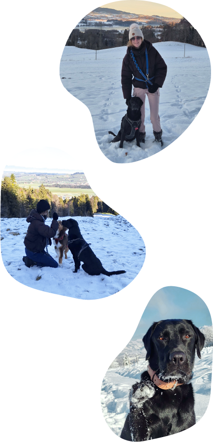 Photo du profil avec son chien