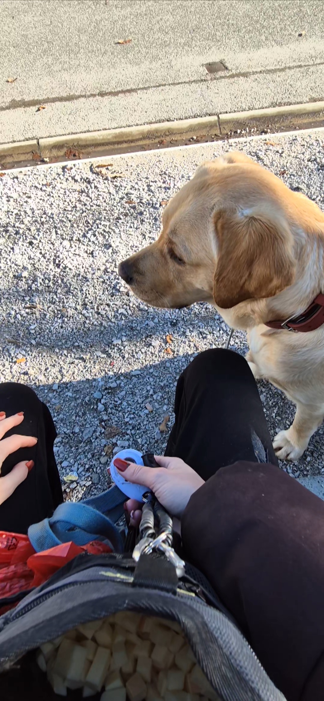 photo de cours d'éducation privé