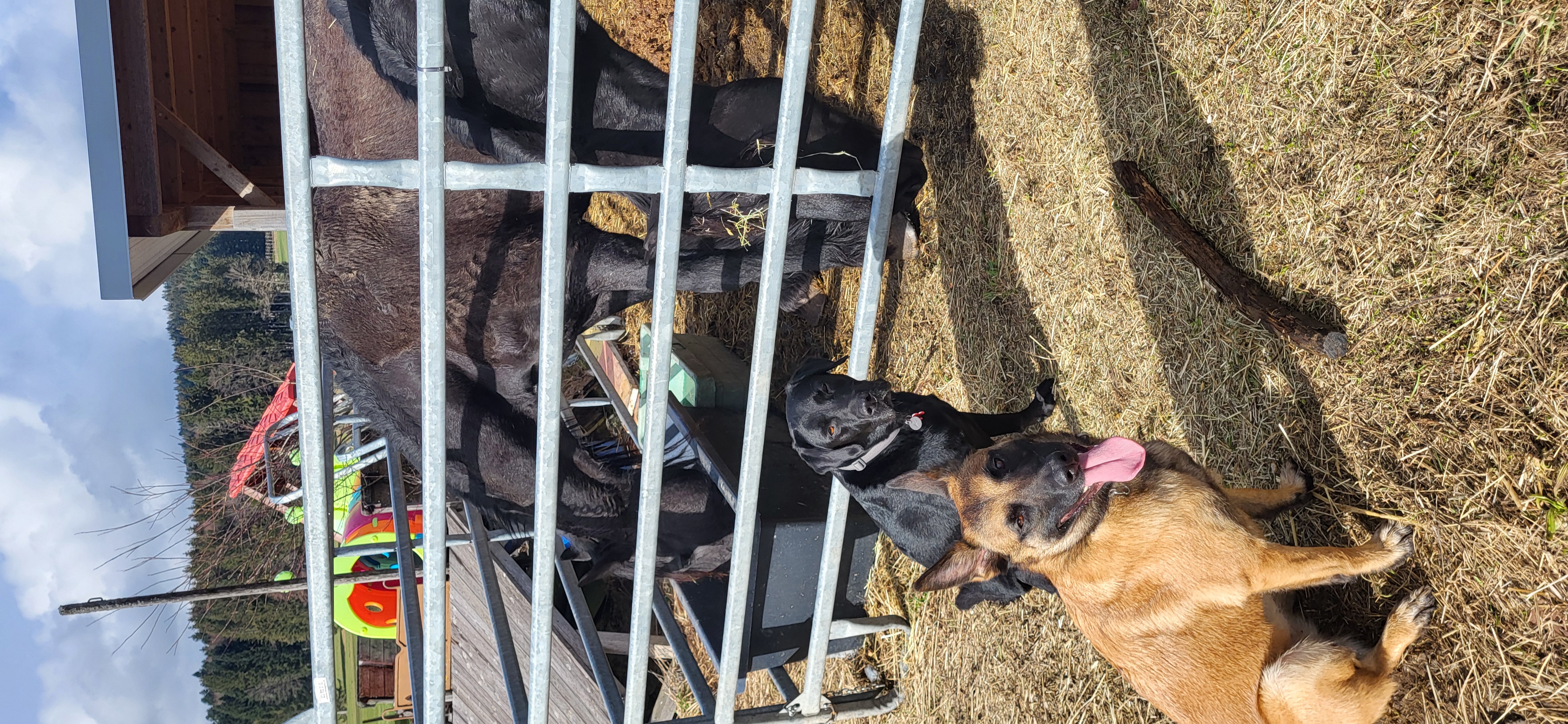 photo de cours d'éducation privé