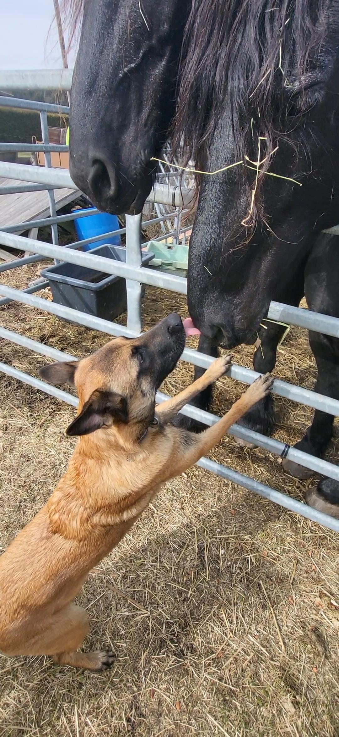 photo de cours d'éducation privé