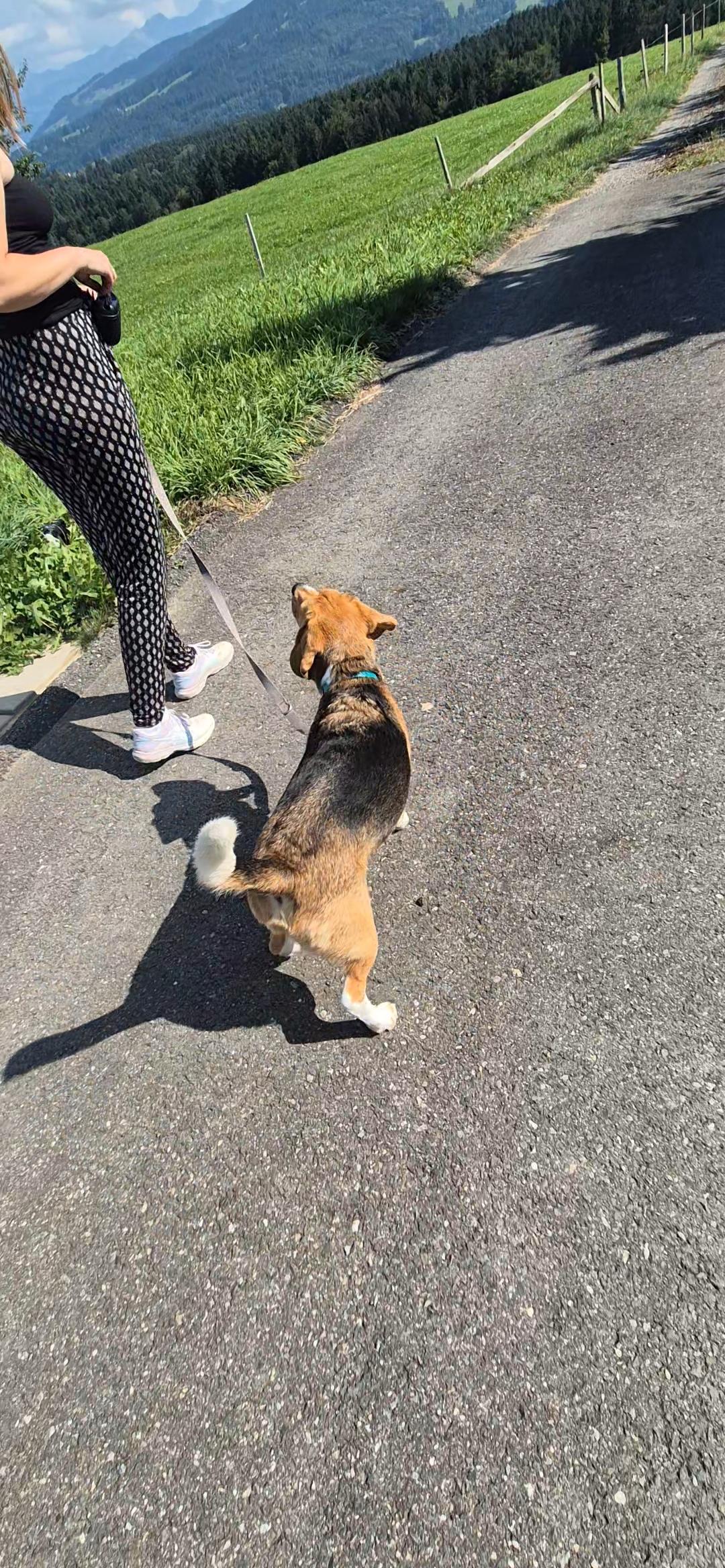 photo de cours d'éducation privé