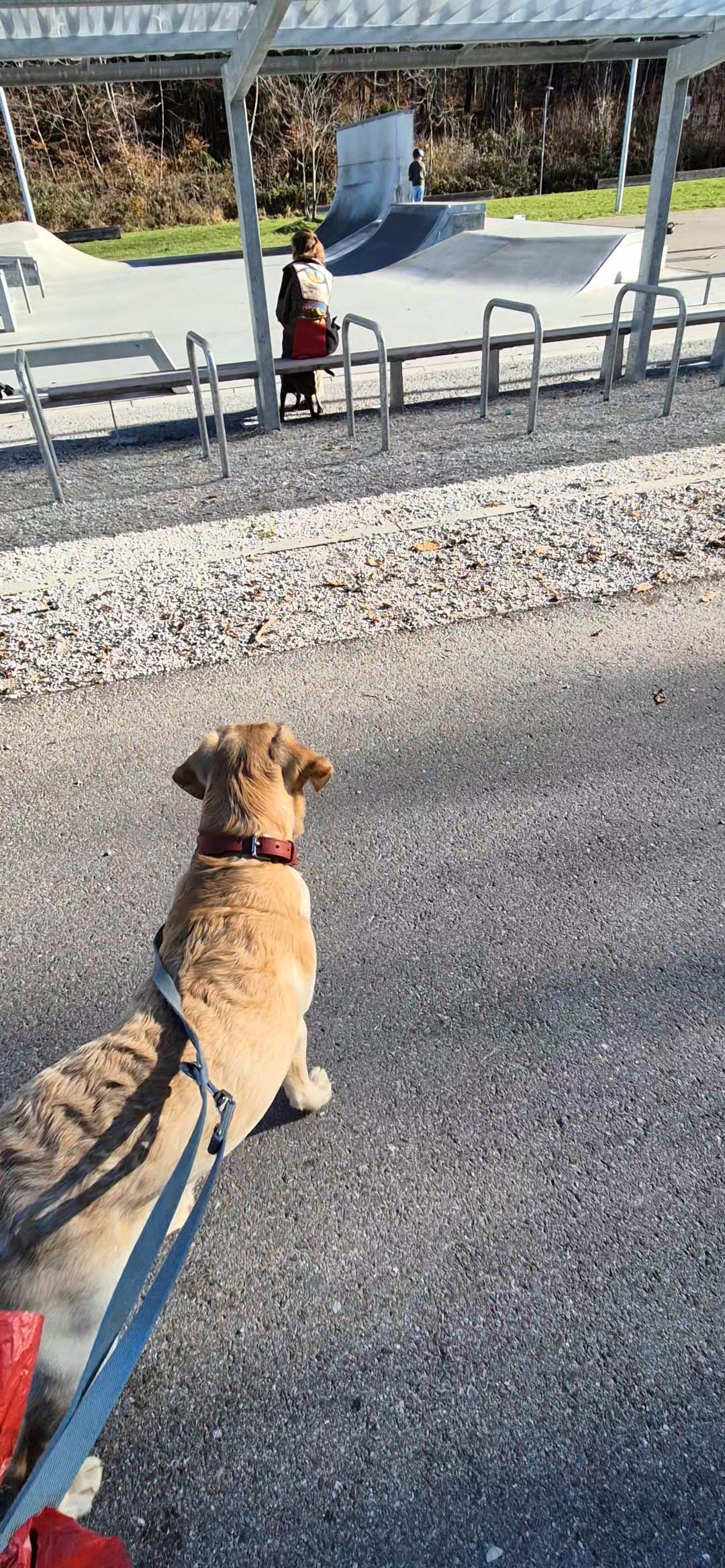 photo de cours d'éducation privé