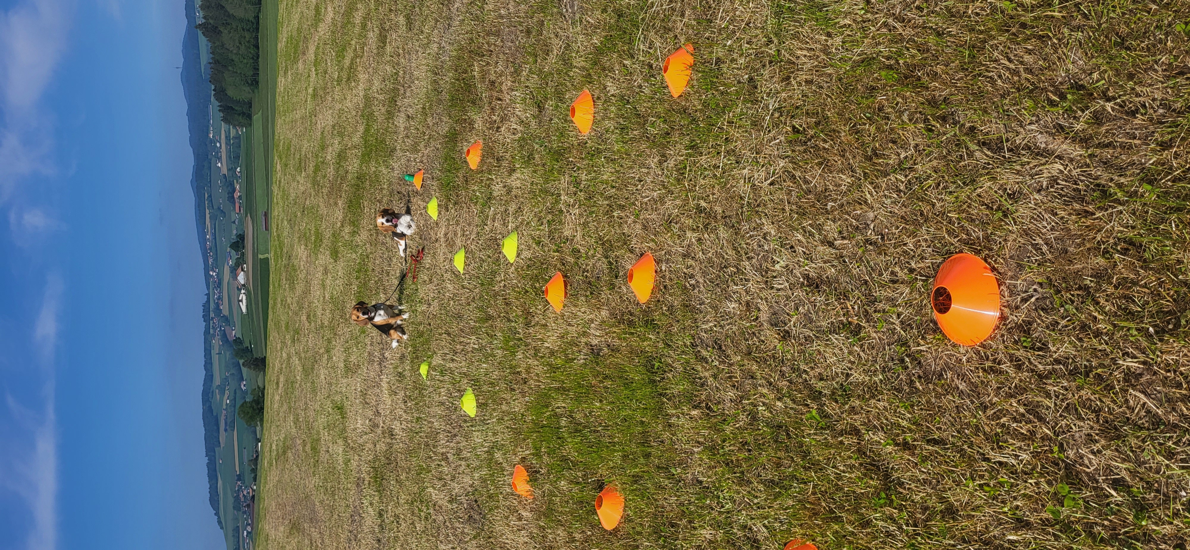 photo des examen de conductibilité