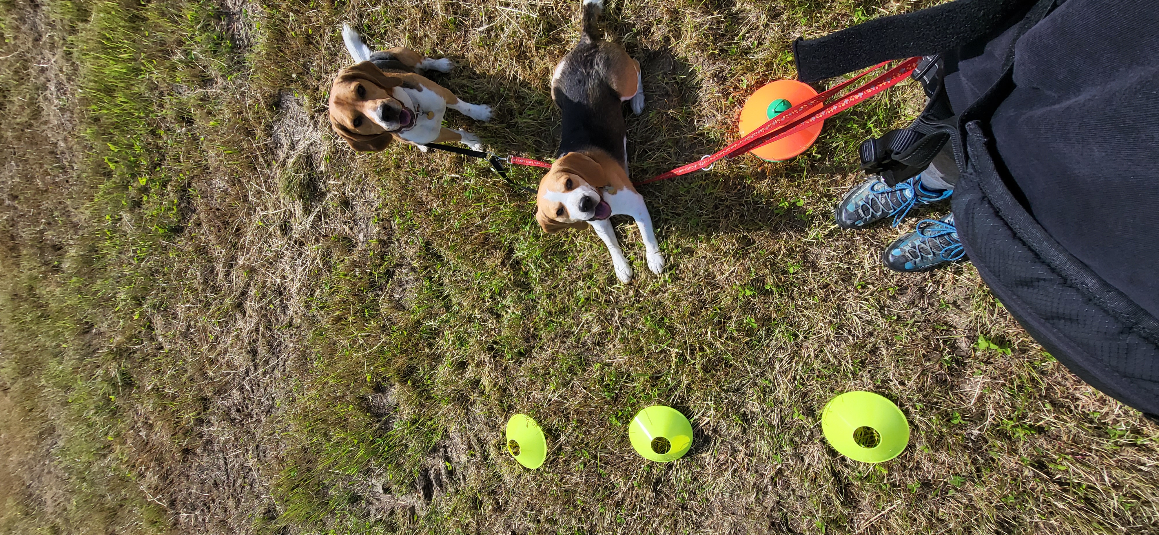 photo des examen de conductibilité