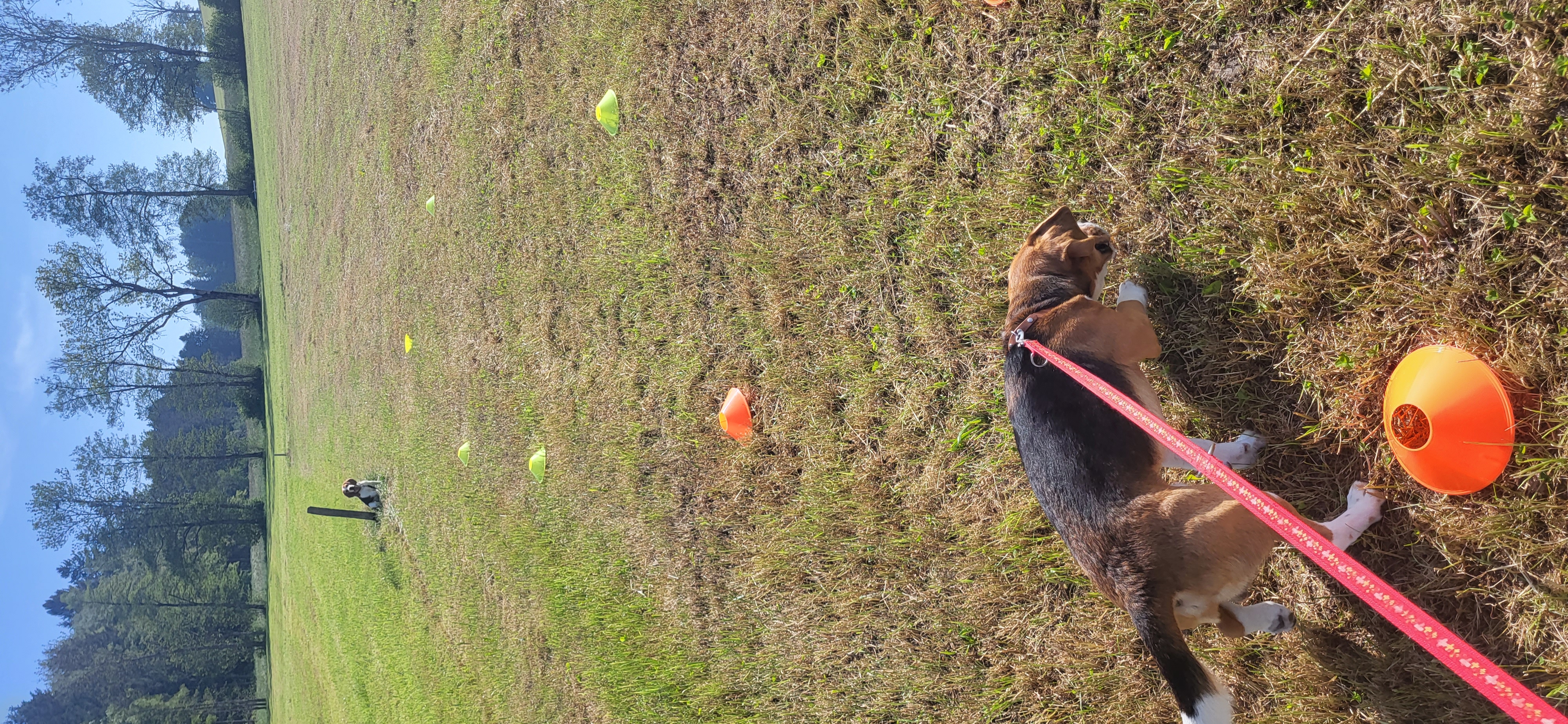 photo des examen de conductibilité
