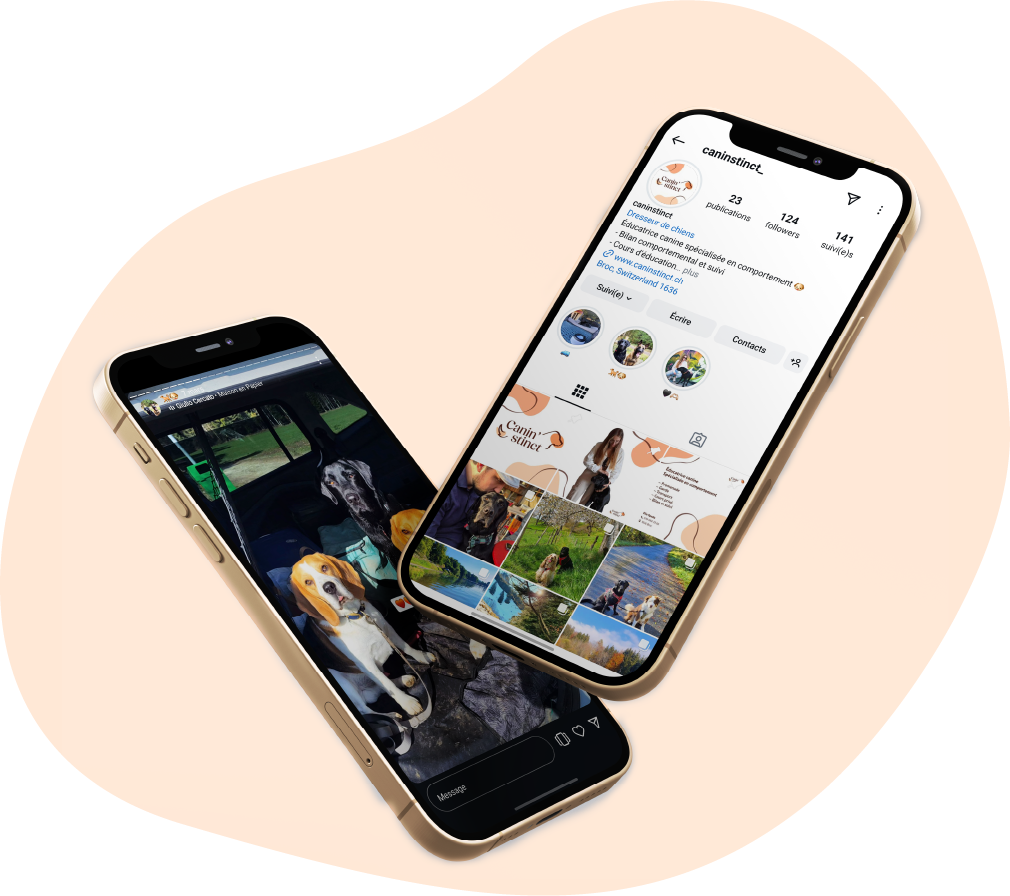 Mockup de l'application Canin'stinct
