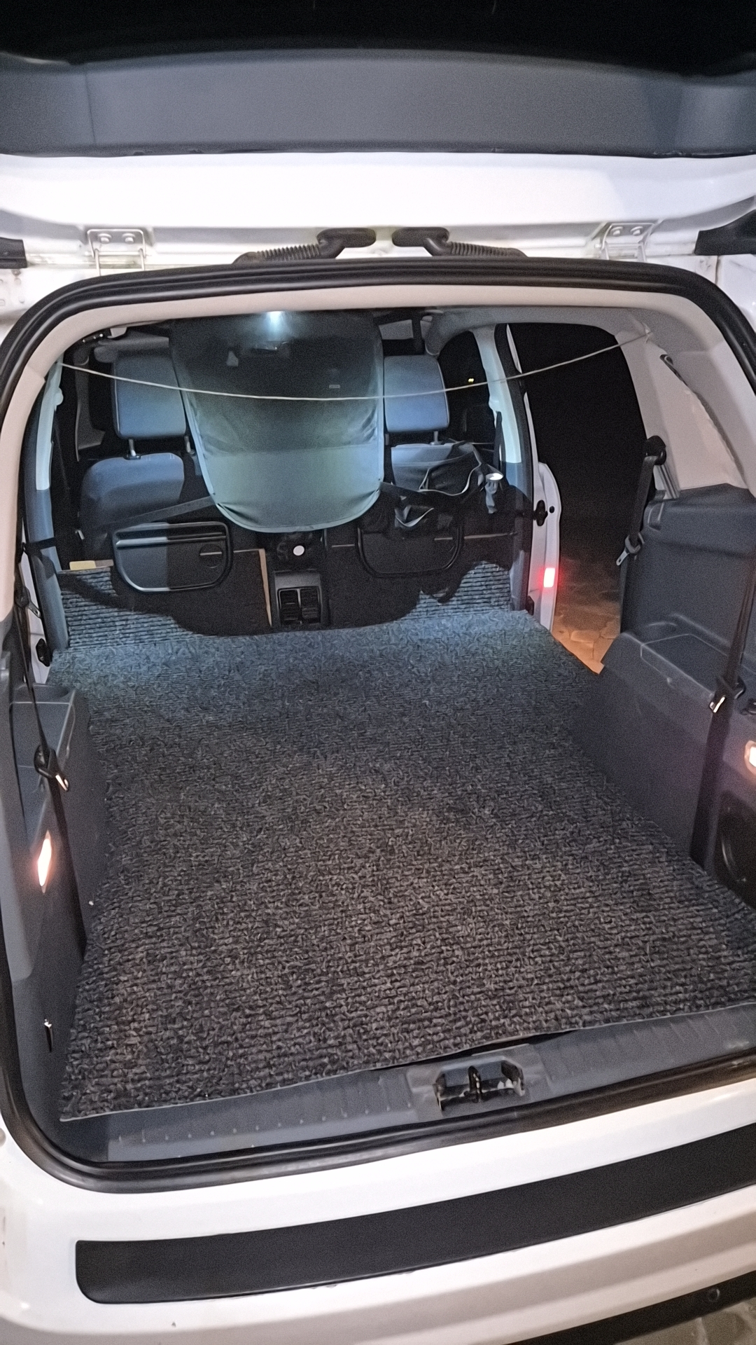 photo de chien dans la voiture